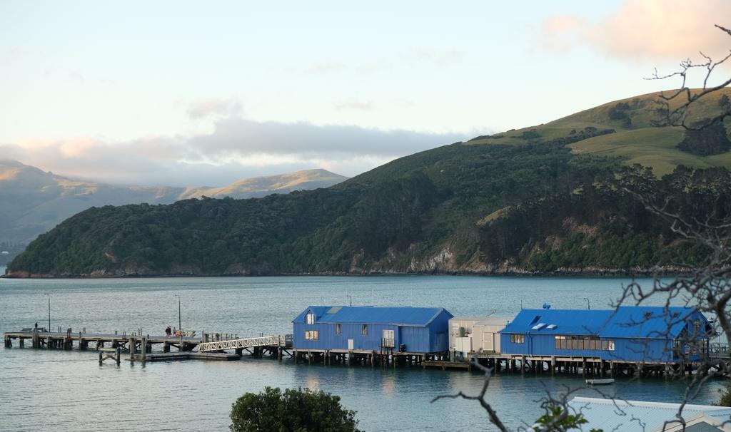 Oinako Bed & Breakfast Akaroa Zewnętrze zdjęcie